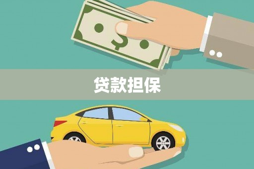 凤泉贷款担保