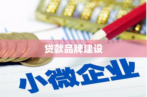 凤泉贷款品牌建设