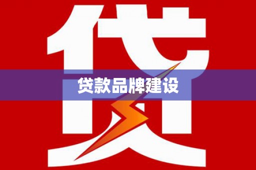 凤泉贷款品牌建设