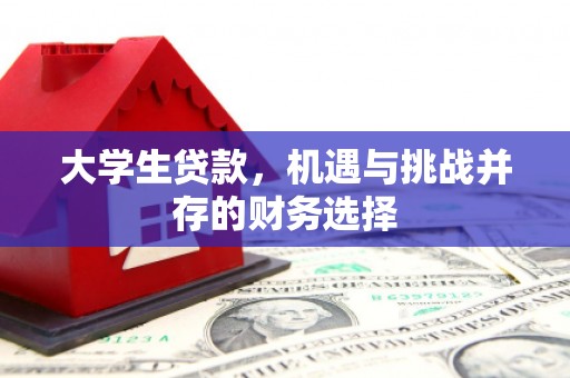 凤泉大学生贷款，机遇与挑战并存的财务选择