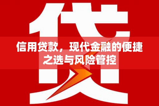 凤泉信用贷款，现代金融的便捷之选与风险管控