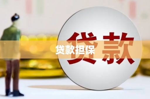 凤泉贷款担保