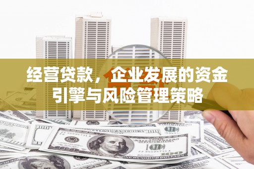凤泉经营贷款，企业发展的资金引擎与风险管理策略