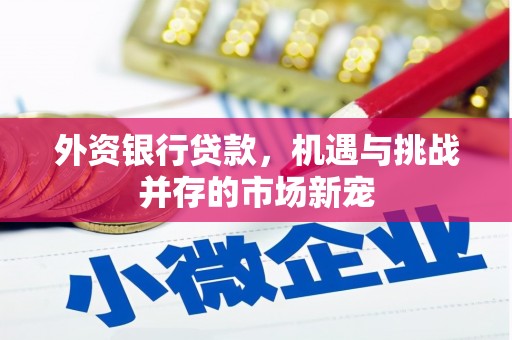 凤泉外资银行贷款，机遇与挑战并存的市场新宠