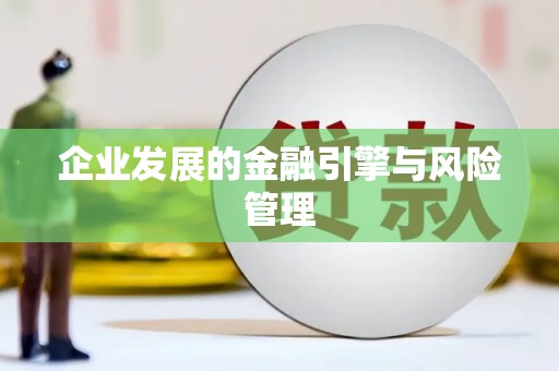 凤泉企业发展的金融引擎与风险管理