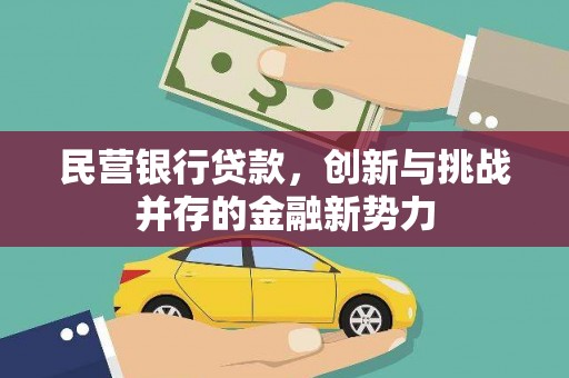 凤泉民营银行贷款，创新与挑战并存的金融新势力