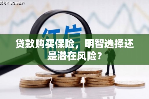 凤泉贷款购买保险，明智选择还是潜在风险？