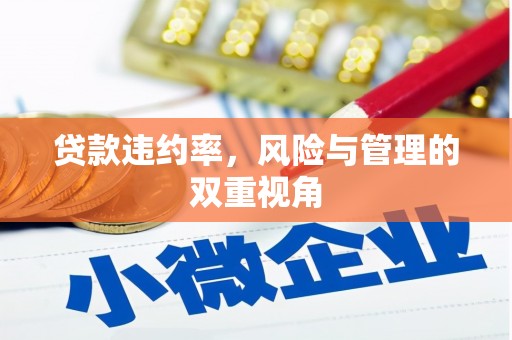 凤泉贷款违约率，风险与管理的双重视角