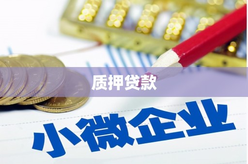 凤泉质押贷款