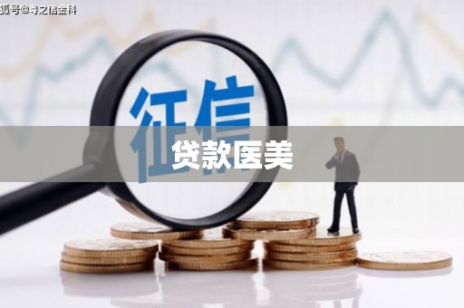 凤泉贷款医美
