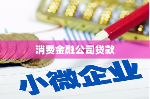 凤泉消费金融公司贷款