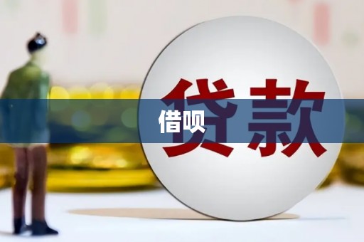 凤泉借呗