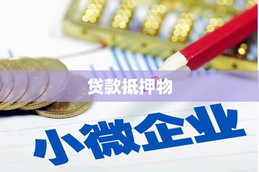 凤泉贷款抵押物