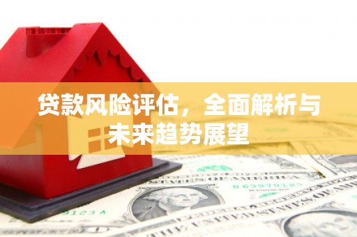 凤泉贷款风险评估，全面解析与未来趋势展望