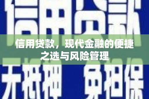 凤泉信用贷款，现代金融的便捷之选与风险管理