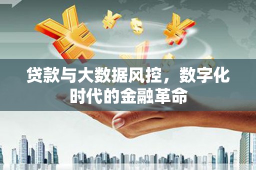 凤泉贷款与大数据风控，数字化时代的金融革命