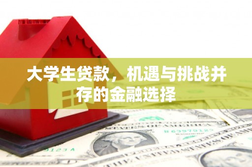 凤泉大学生贷款，机遇与挑战并存的金融选择
