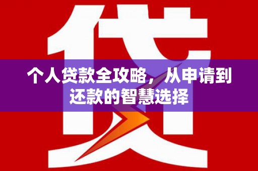 凤泉个人贷款全攻略，从申请到还款的智慧选择