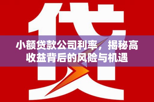 凤泉小额贷款公司利率，揭秘高收益背后的风险与机遇