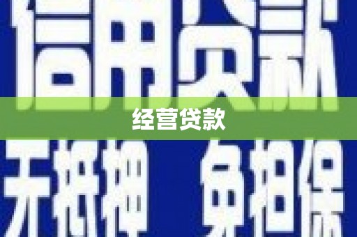 凤泉经营贷款
