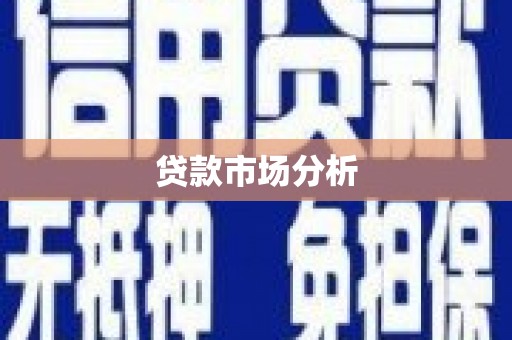 凤泉贷款市场分析