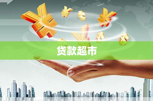 凤泉贷款超市