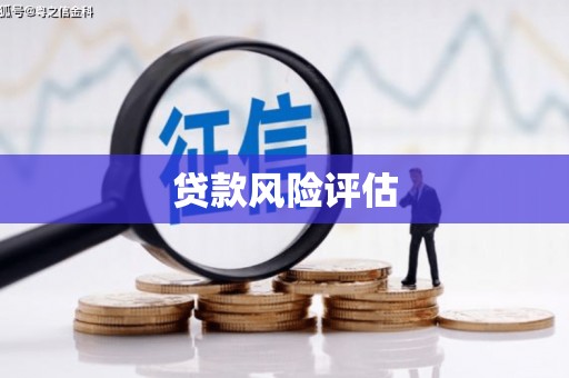 凤泉贷款风险评估