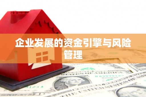 凤泉企业发展的资金引擎与风险管理