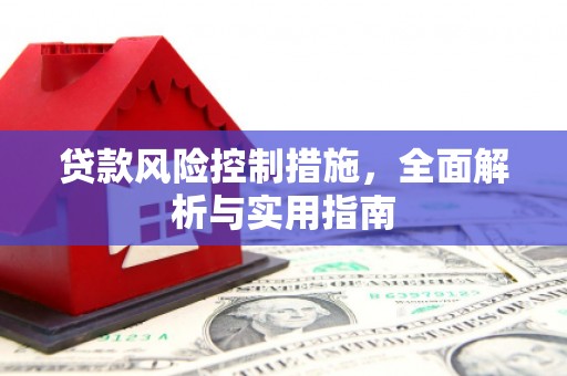 凤泉贷款风险控制措施，全面解析与实用指南