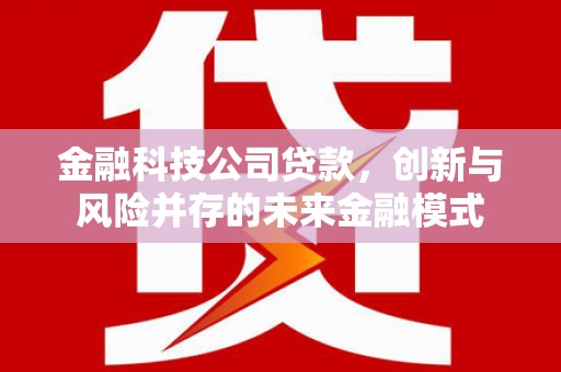 凤泉金融科技公司贷款，创新与风险并存的未来金融模式