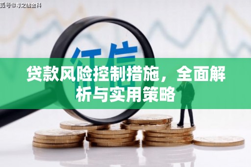 凤泉贷款风险控制措施，全面解析与实用策略
