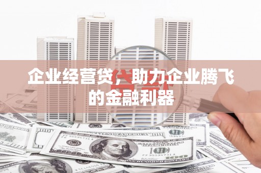 凤泉企业经营贷，助力企业腾飞的金融利器