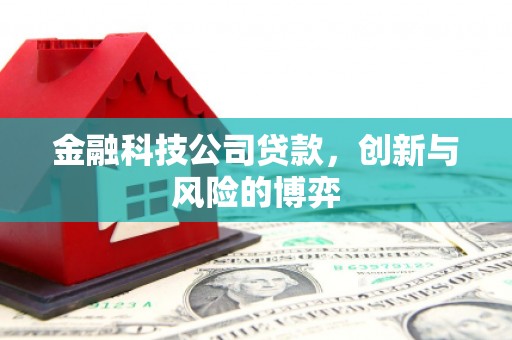 凤泉金融科技公司贷款，创新与风险的博弈