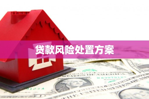 凤泉贷款风险处置方案