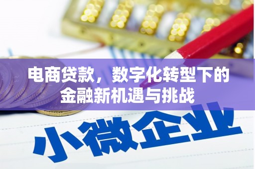 凤泉电商贷款，数字化转型下的金融新机遇与挑战
