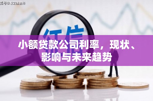 凤泉小额贷款公司利率，现状、影响与未来趋势
