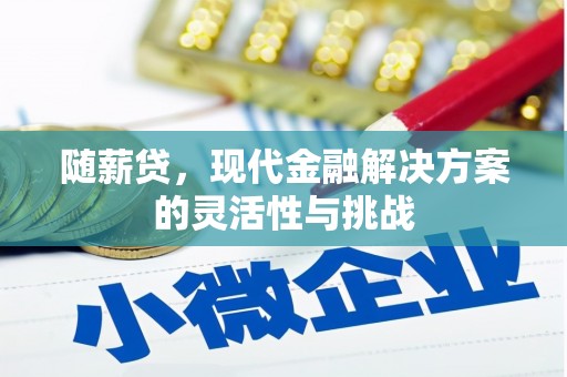 凤泉随薪贷，现代金融解决方案的灵活性与挑战