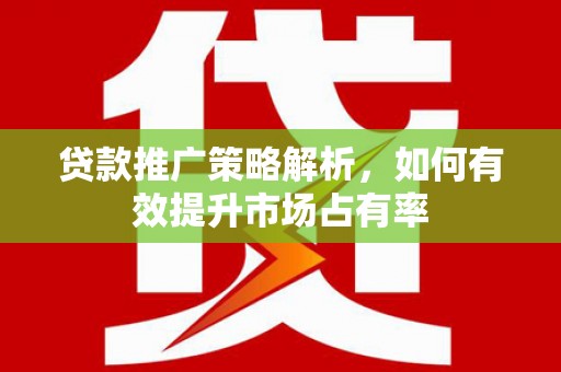 凤泉贷款推广策略解析，如何有效提升市场占有率