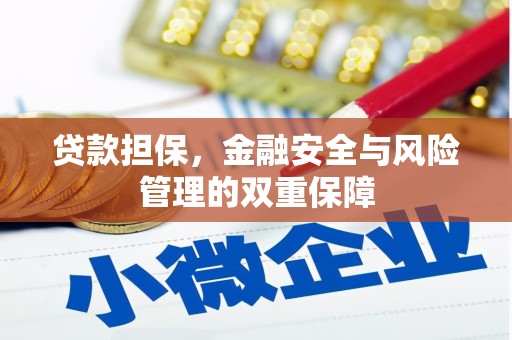 凤泉贷款担保，金融安全与风险管理的双重保障