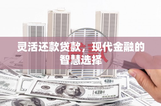 凤泉灵活还款贷款，现代金融的智慧选择