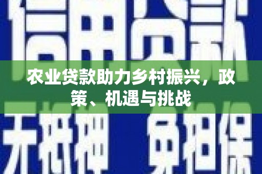 凤泉农业贷款助力乡村振兴，政策、机遇与挑战