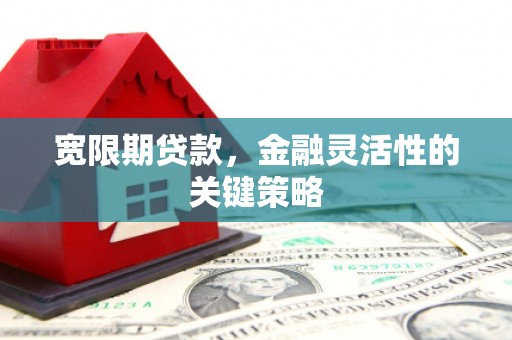 凤泉宽限期贷款，金融灵活性的关键策略