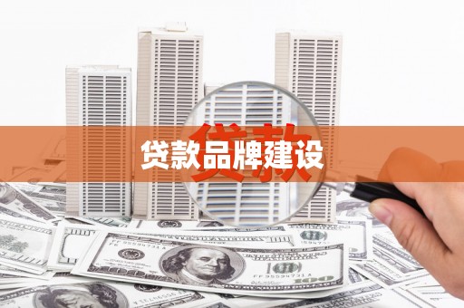 凤泉贷款品牌建设