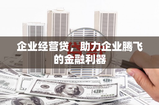 凤泉企业经营贷，助力企业腾飞的金融利器