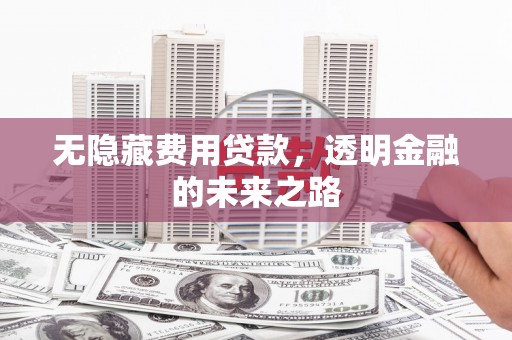 凤泉无隐藏费用贷款，透明金融的未来之路