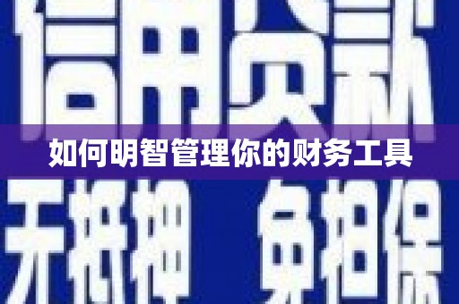凤泉如何明智管理你的财务工具