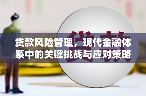 凤泉贷款风险管理，现代金融体系中的关键挑战与应对策略