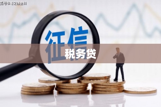 凤泉税务贷