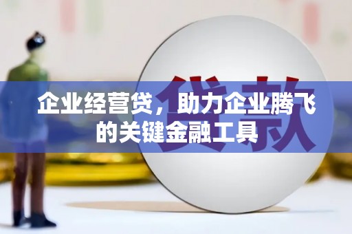 凤泉企业经营贷，助力企业腾飞的关键金融工具