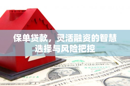 凤泉保单贷款，灵活融资的智慧选择与风险把控